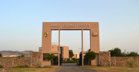 raffles-university